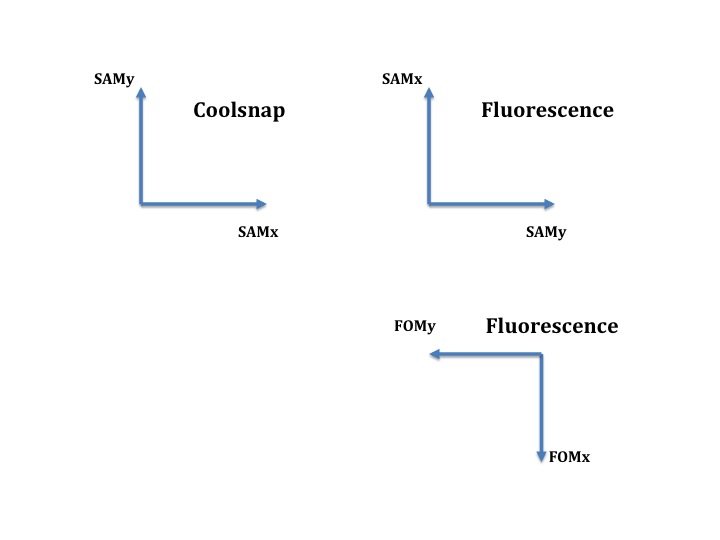 File:Fluorescence vs transmission orientation.jpg