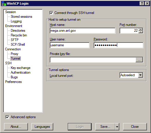 HPC 2012-10 WinSCP config 2 mega.png